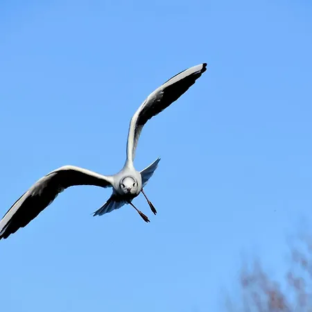 شقة Lesparisnormands - Le Bon Pressoir De