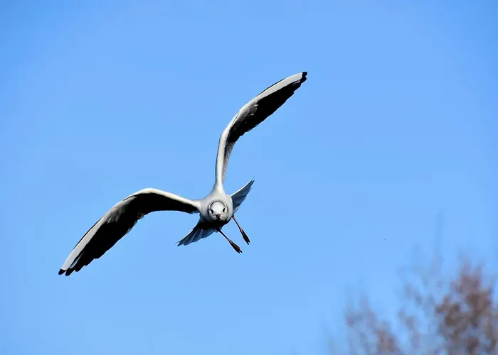 아파트 Le Bon Pressoir De - Lesparisnormands